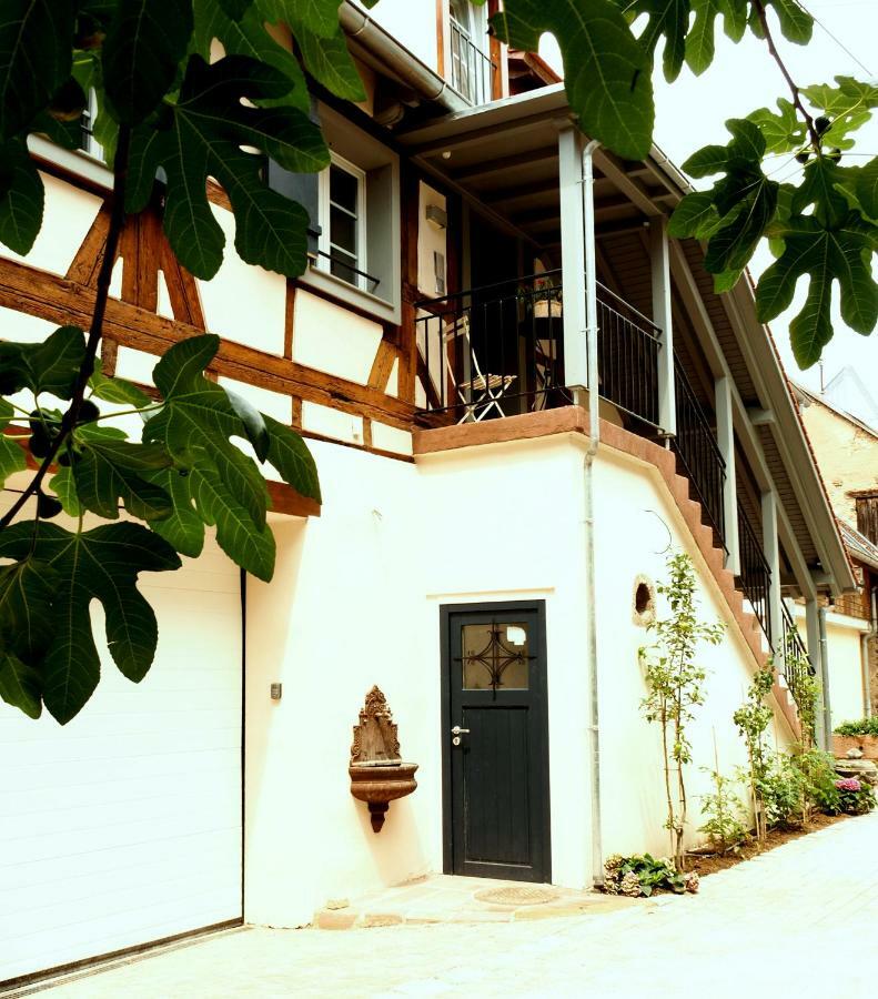 Apartmán La Cour Sainte Agnes Obernai Exteriér fotografie