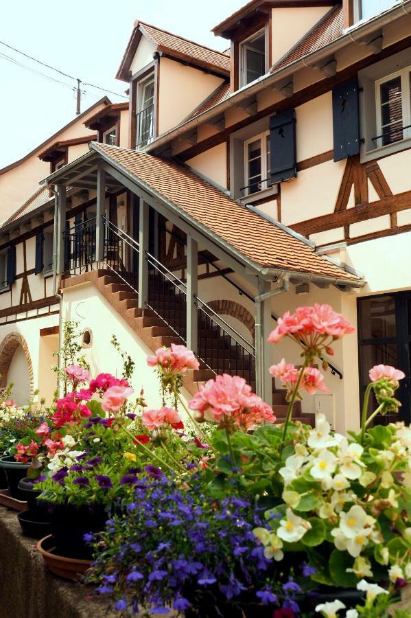 Apartmán La Cour Sainte Agnes Obernai Exteriér fotografie