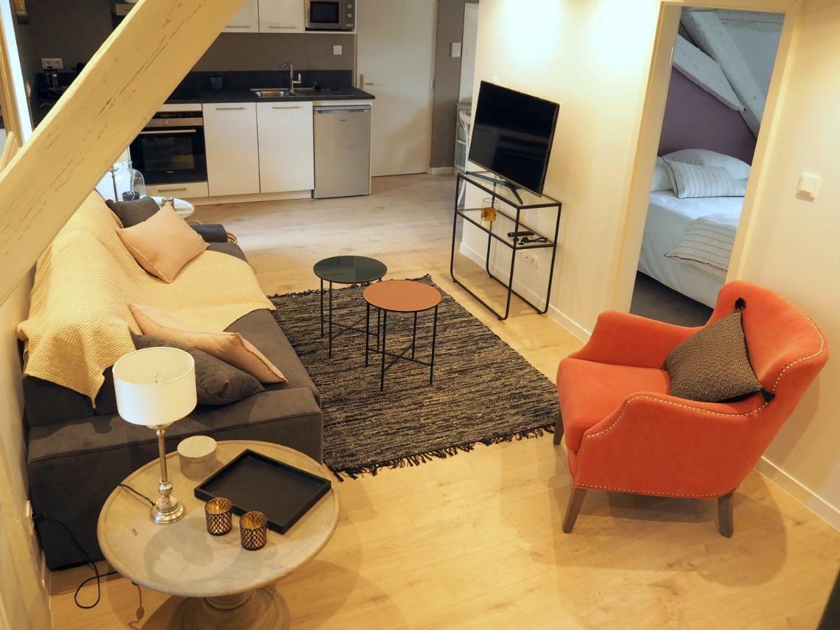 Apartmán La Cour Sainte Agnes Obernai Exteriér fotografie