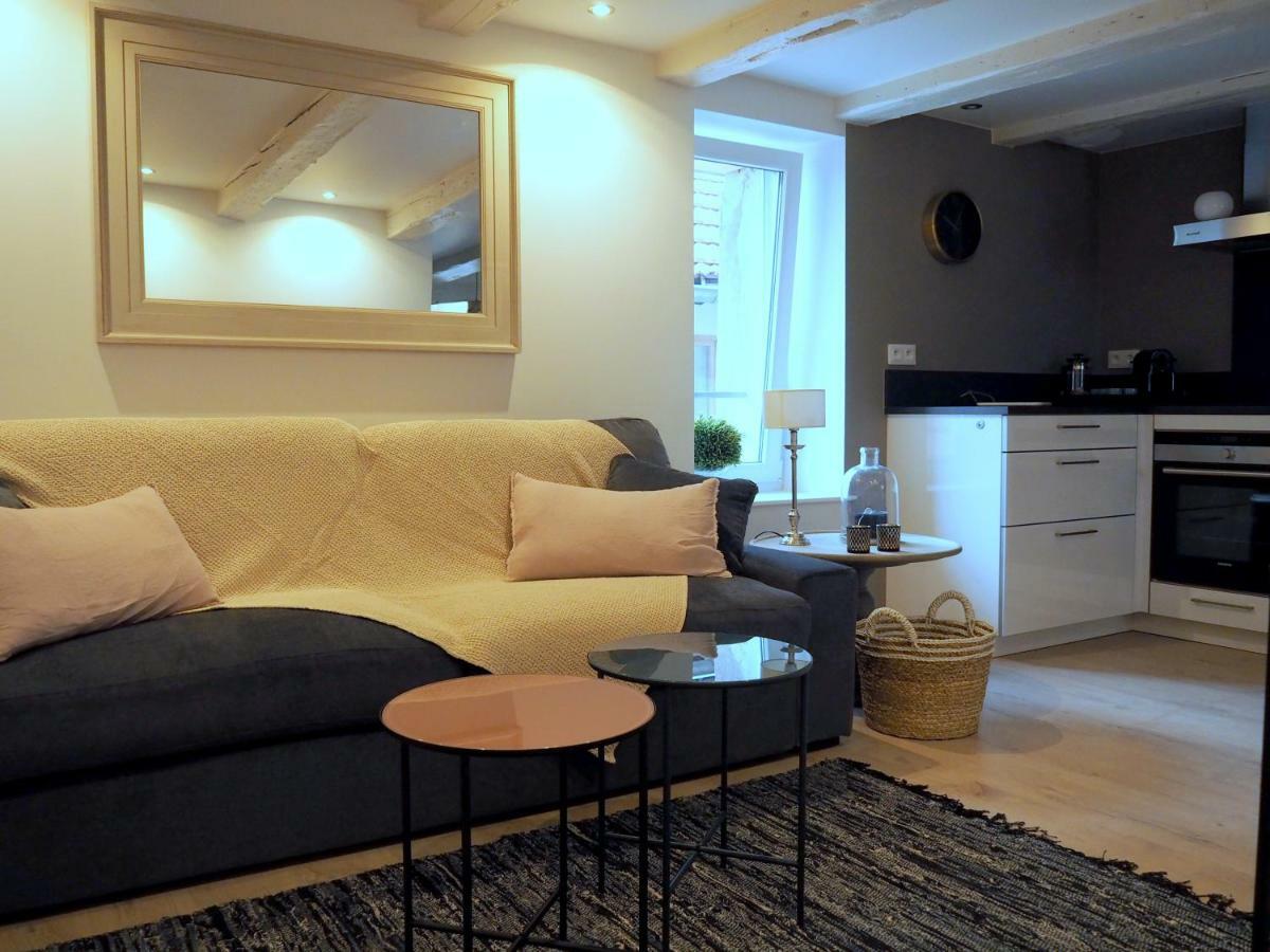 Apartmán La Cour Sainte Agnes Obernai Exteriér fotografie